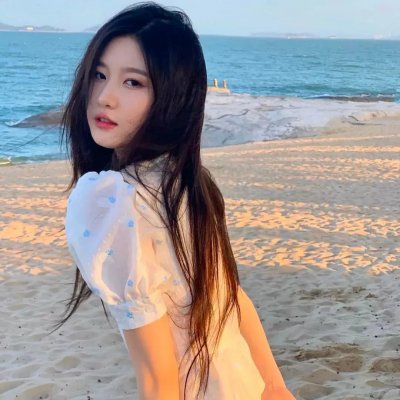 精灵宝可梦：大家的故事